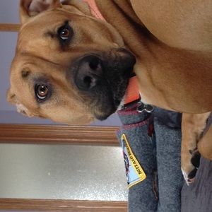 Meet your Posher, Christa